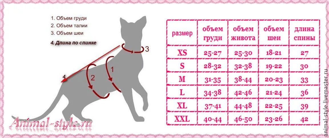 Размерная таблица для одежды кота. Как определить размер кота для одежды. Размер шлейки для кошек таблица. Размеры шлейки для кошек таблица с размерами.