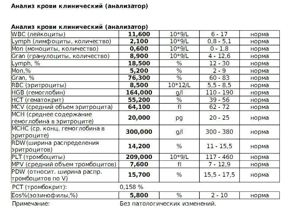 Plt в анализе крови у взрослого