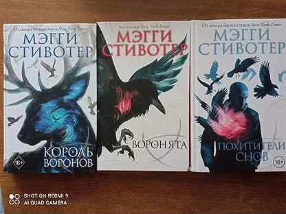Похитители снов мэгги стивотер