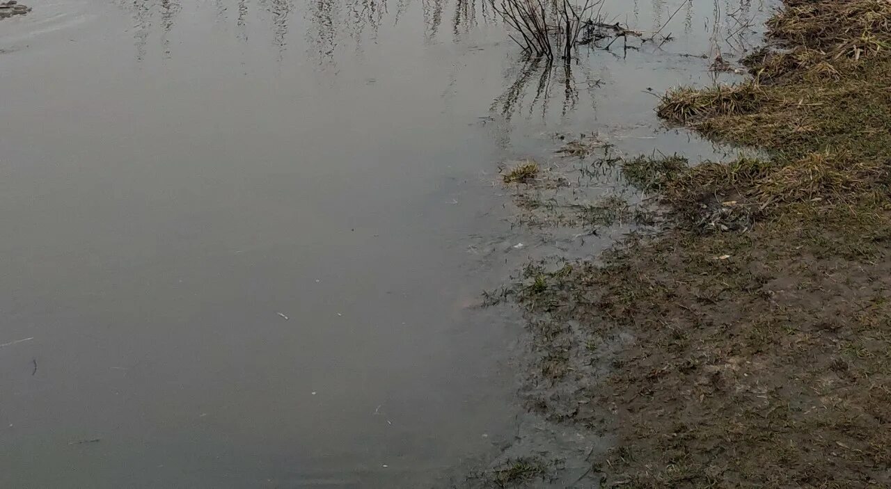 Уровень воды в реке угра. Вода река. Река Протва. Паводок Калуга. Уровень воды в реке Оке.