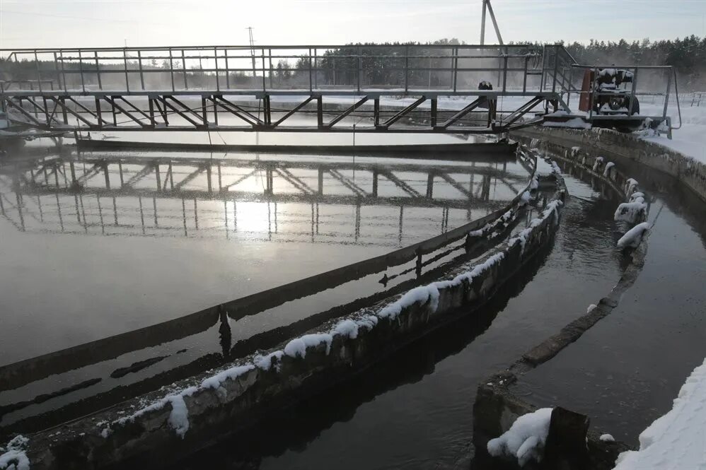 Вода в черемшане