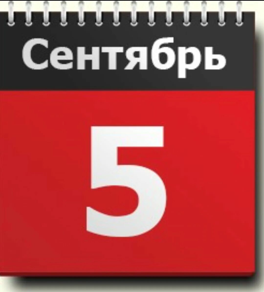 6 ноября 2019 год. 6 Октября календарь. 5 Сентября календарь. Лист календаря. 6 Сентября календарь.