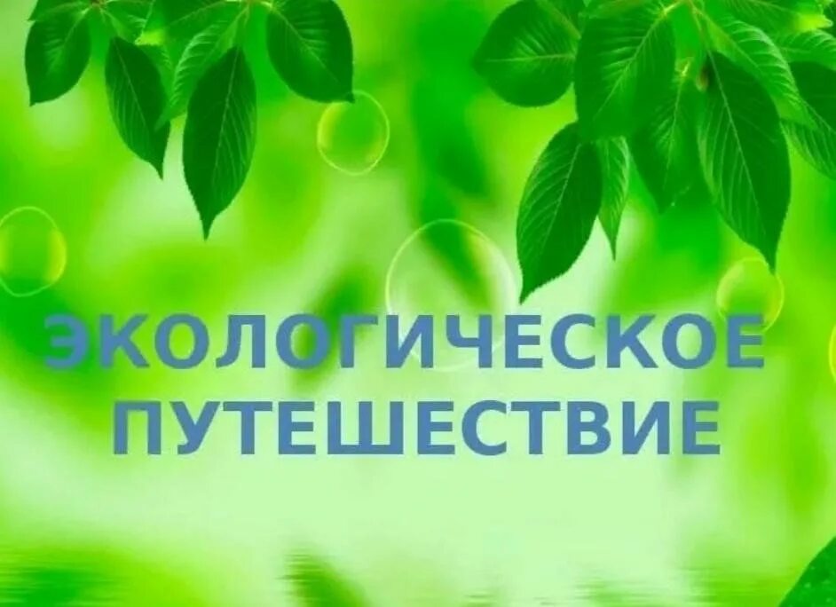 Экологическое путешествие презентация. Экологическое путешествие презентация. Путешествие по экологической тропинке. Экологичное путешествие. Путешествие по экологической тропе.