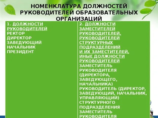 Утверждается номенклатура должностей педагогических работников учебного заведения. Номенклатура должностей. Номенклатурные должности на предприятии. Номенклатура должностей педагогических работников. Должности в вузе номенклатура должностей.