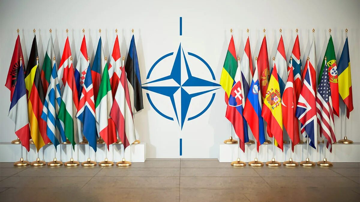 Нато тв. Флаги 30 стран НАТО. Североатлантический Альянс НАТО. NATO (North Atlantic Treaty Organization) - Североатлантический военный Альянс (НАТО).. Североатлантический Альянс НАТО флаг.