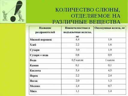 Сколько выделяют океанов