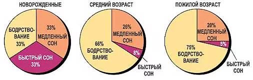 Сколько за ночь норма