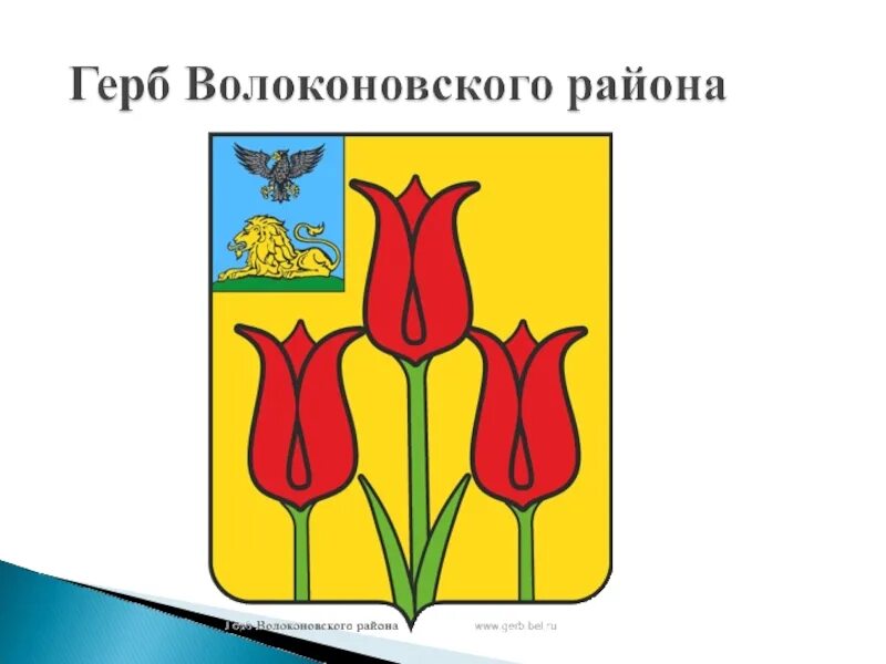 Карта волоконовского района белгородской. Герб Волоконовского района Белгородской. Герб Волоконовского района Белгородской области. Флаг Волоконовского района Белгородской области. Герб Волоконовского района.