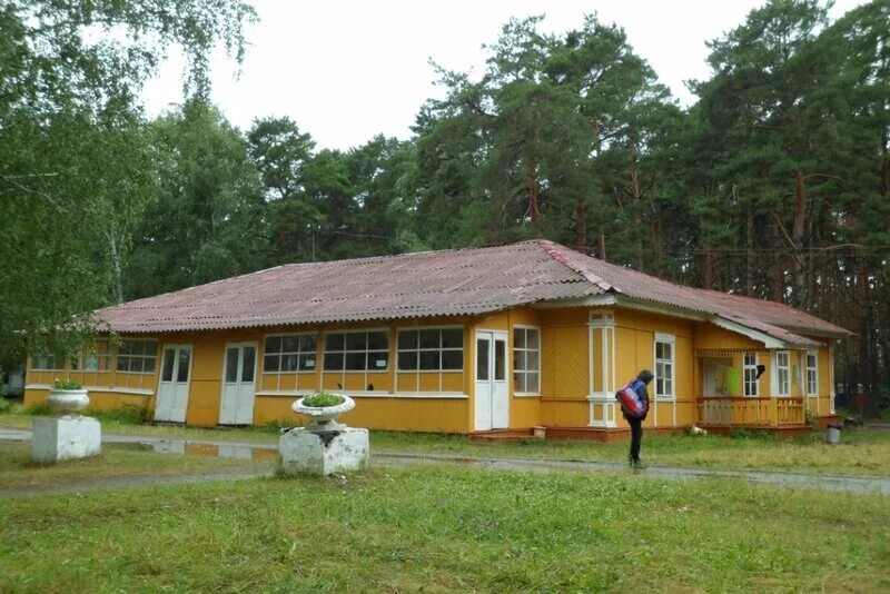 Лагерь сапфир Челябинск. Детский лагерь сапфир Еткульский район. Детский оздоровительный лагерь Челябинская область сапфир. Лагерь дол сапфир Челябинск.