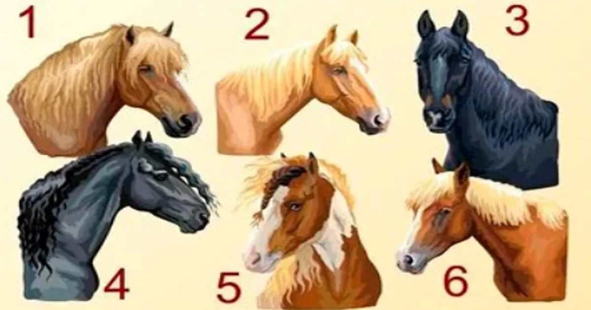 Тесты о лошадях с ответами