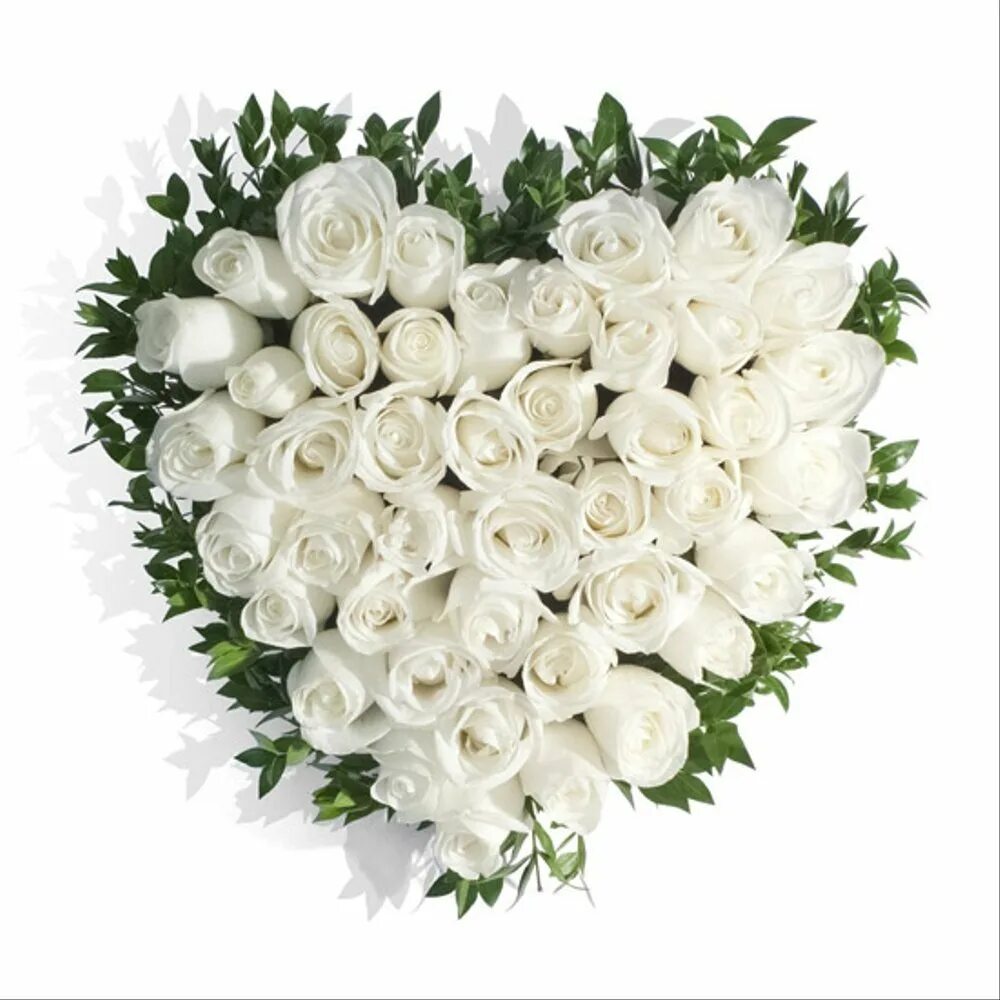 Розы белые низкие. Огромный букет белых роз. Красивый белый букет. Букет белых цветов. Красивый букет белых роз.