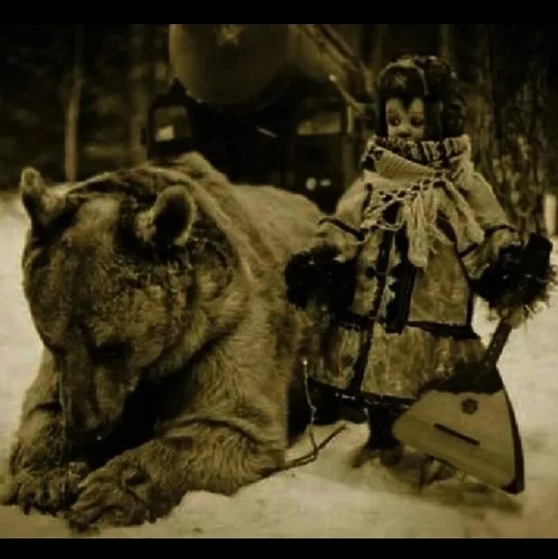 Русский мишка беру