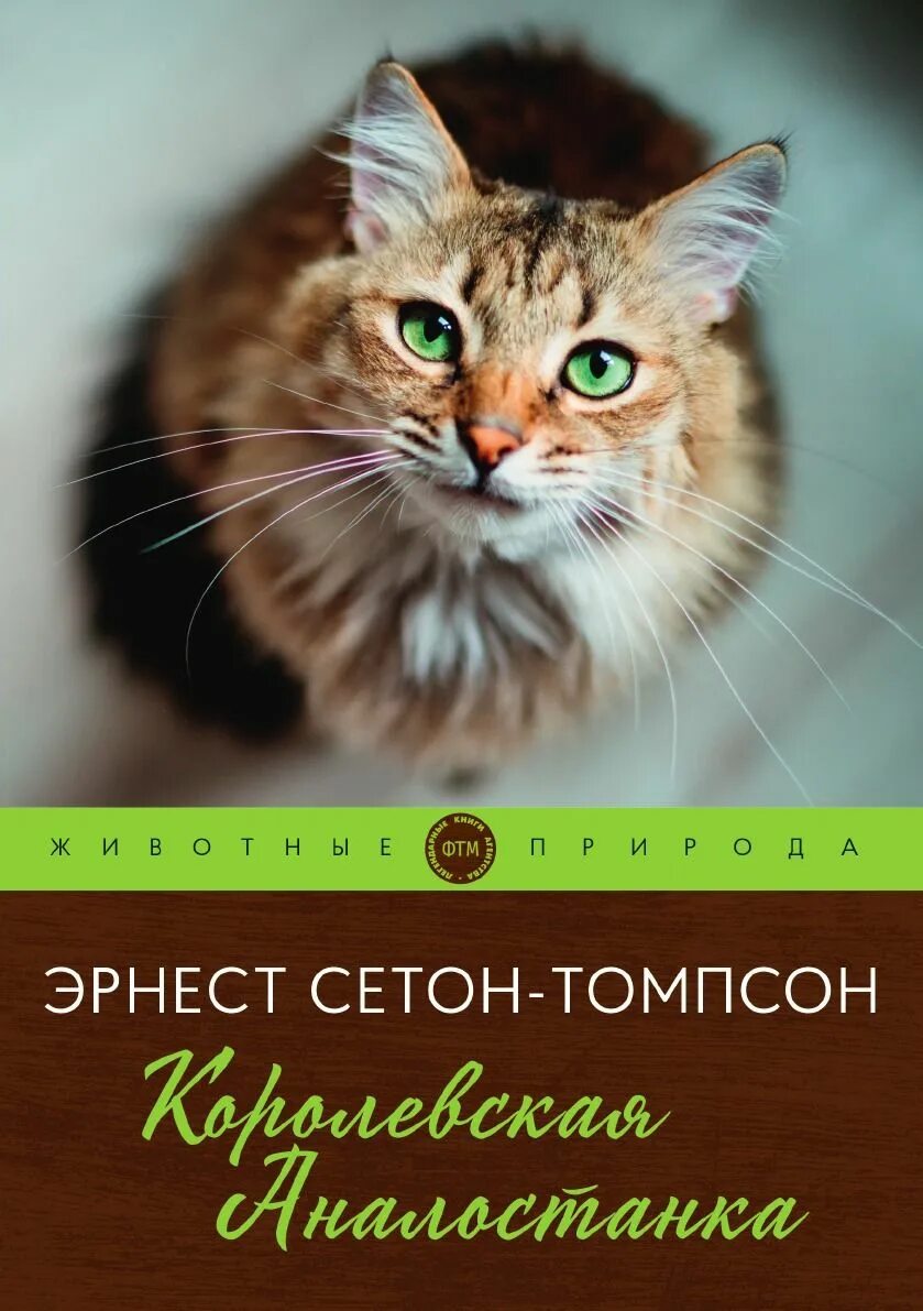 Сетона-томпсона "королевская аналостанка". "королевская аналостанка". Королевская аналостанка читательский. Королевская аналостанка читательский. Королевская аналостанка фото.