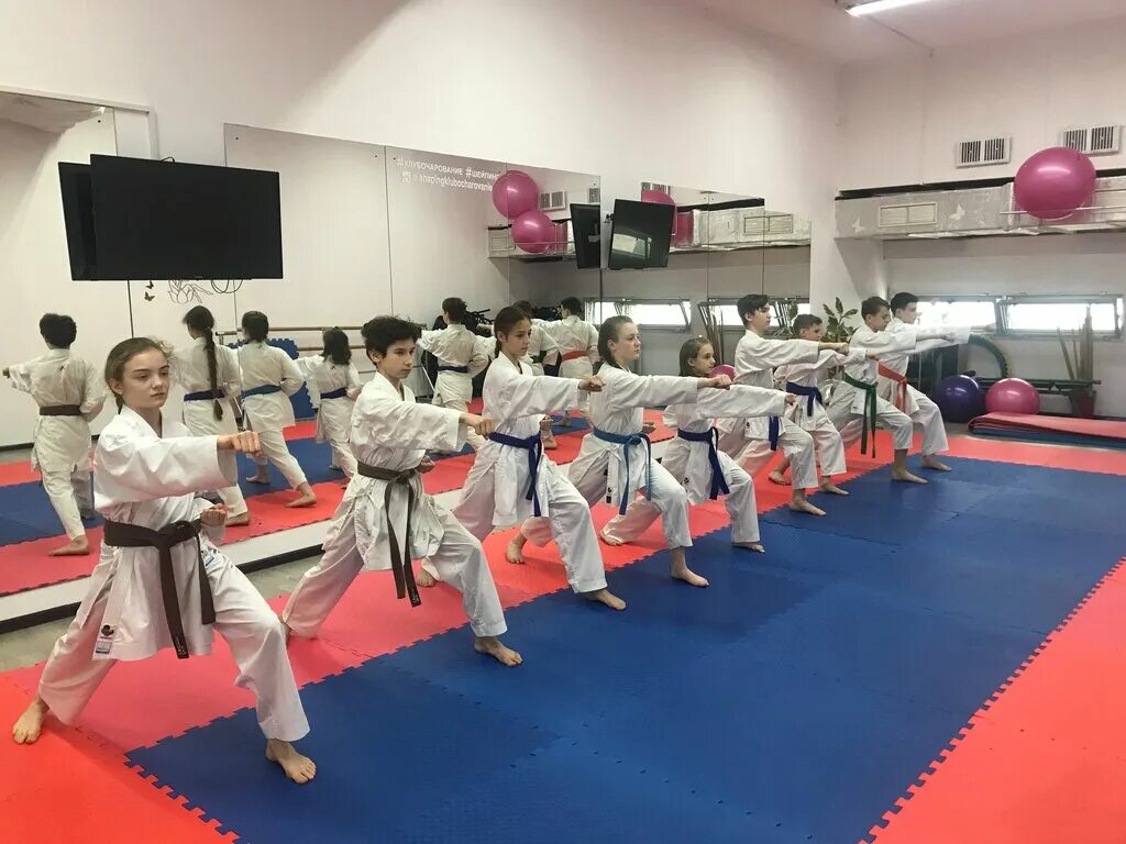 клубы карате москвы. спортивный клуб шодан. клубы карате москвы. кучерук дмитрий каратэ москва. клубы карате москвы.