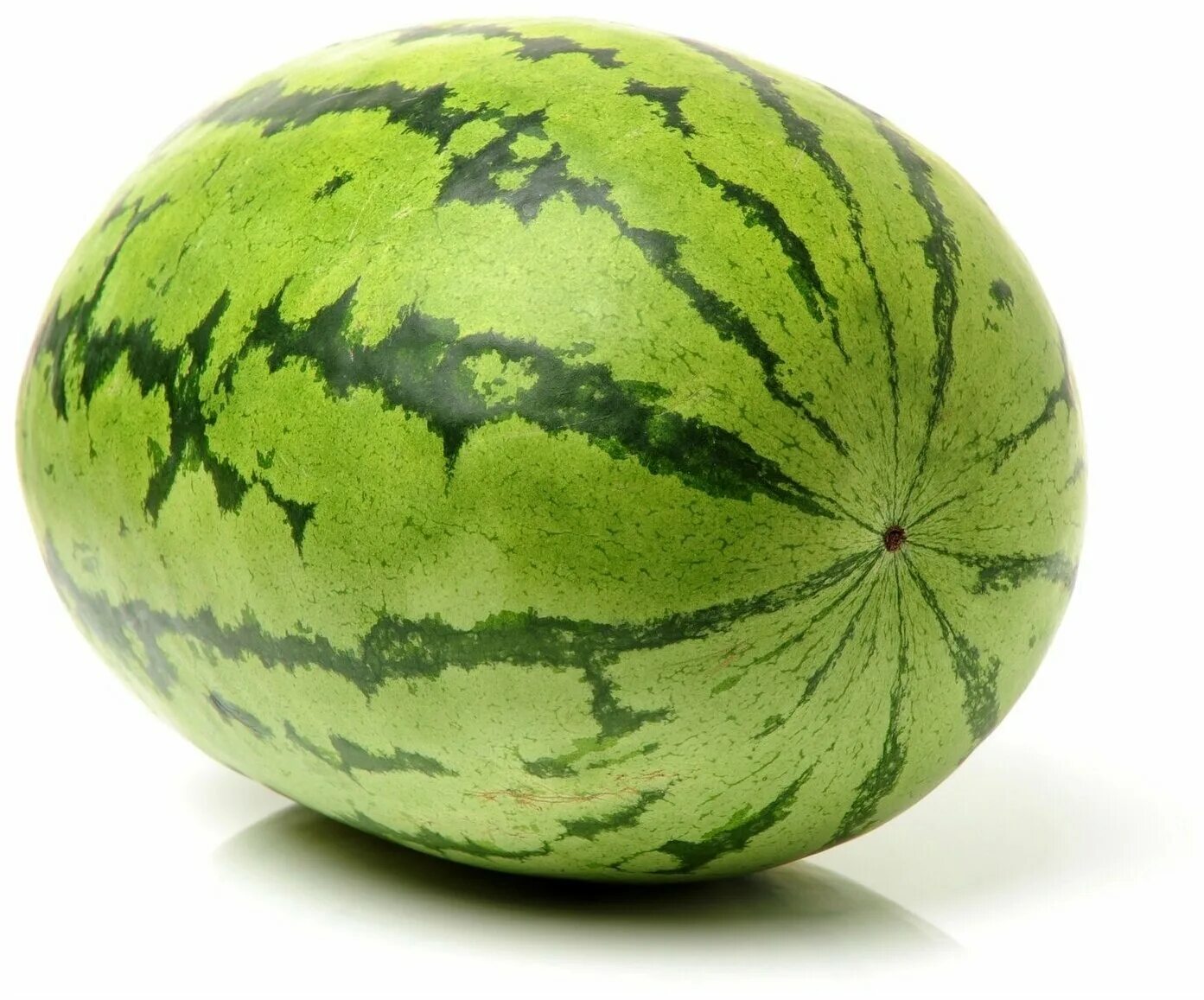 вес среднего арбуза. арбуз фото. килограмм арбуза в душанбе сколько стоит. арбуз вес. арбуз ~7кг.