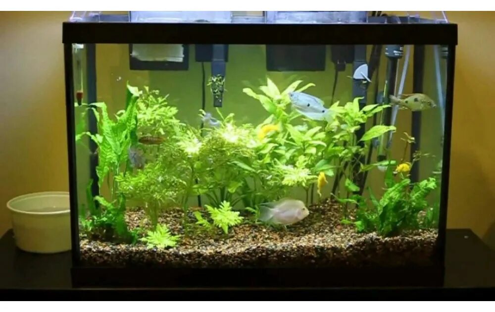Хардскейп скала в нано аквариуме. Аквариум до запуска. Рыбки для аквариума. Травник 400 литров. Запуск аквариума с растениями.
