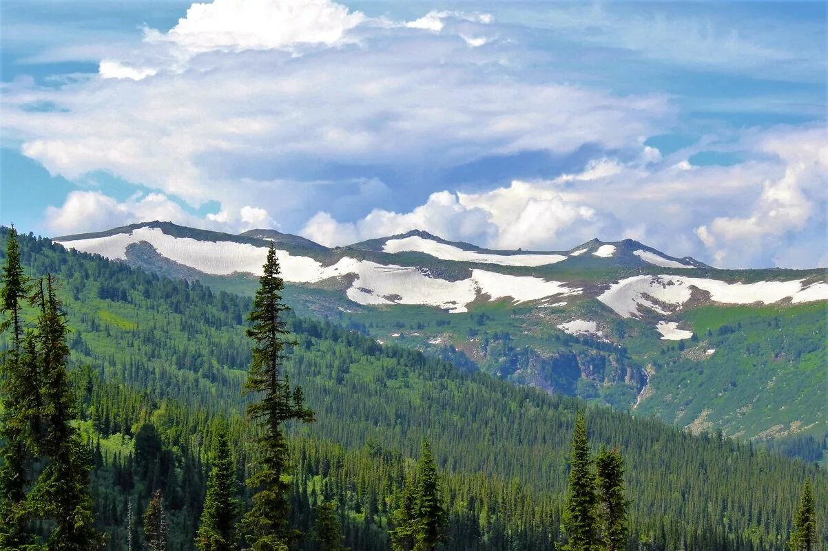 Кузнецкий алатау заповедник золотая долина. Кузнецкий алатау заповедник. Кузнецкий алатау междуреченск. Поднебесный лучшее. Кузнецкий алатау золотая долина озеро.