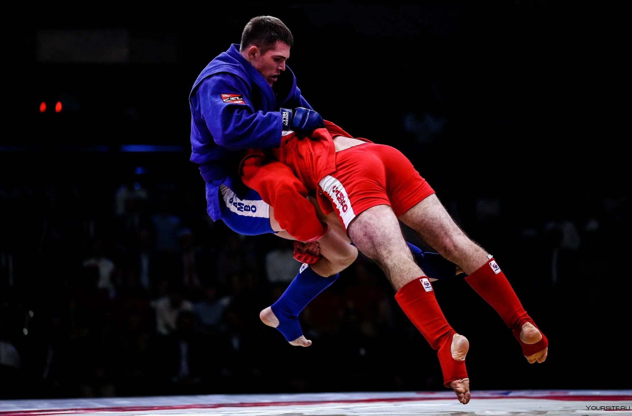 Солдаткин роман боевое самбо. Боевое самбо ударка. Самбо тренер пужаев. Лучшие бои боевого самбо. Эльдар алиев боевое самбо.