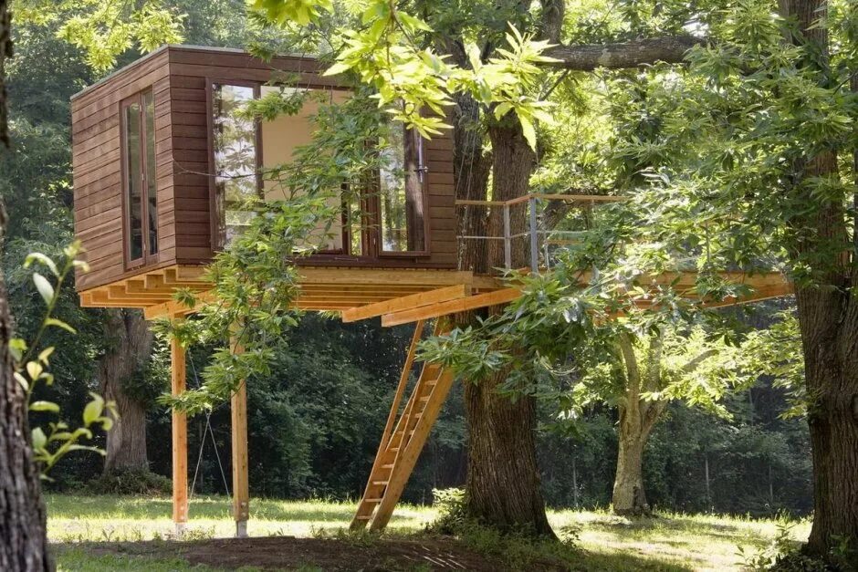 Make a tree house. Tree house кишинев. алникский дом на дереве. домик на дереве для детей. детские домики на дереве.