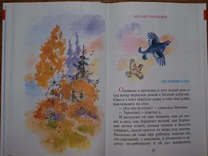 Пришвин листья