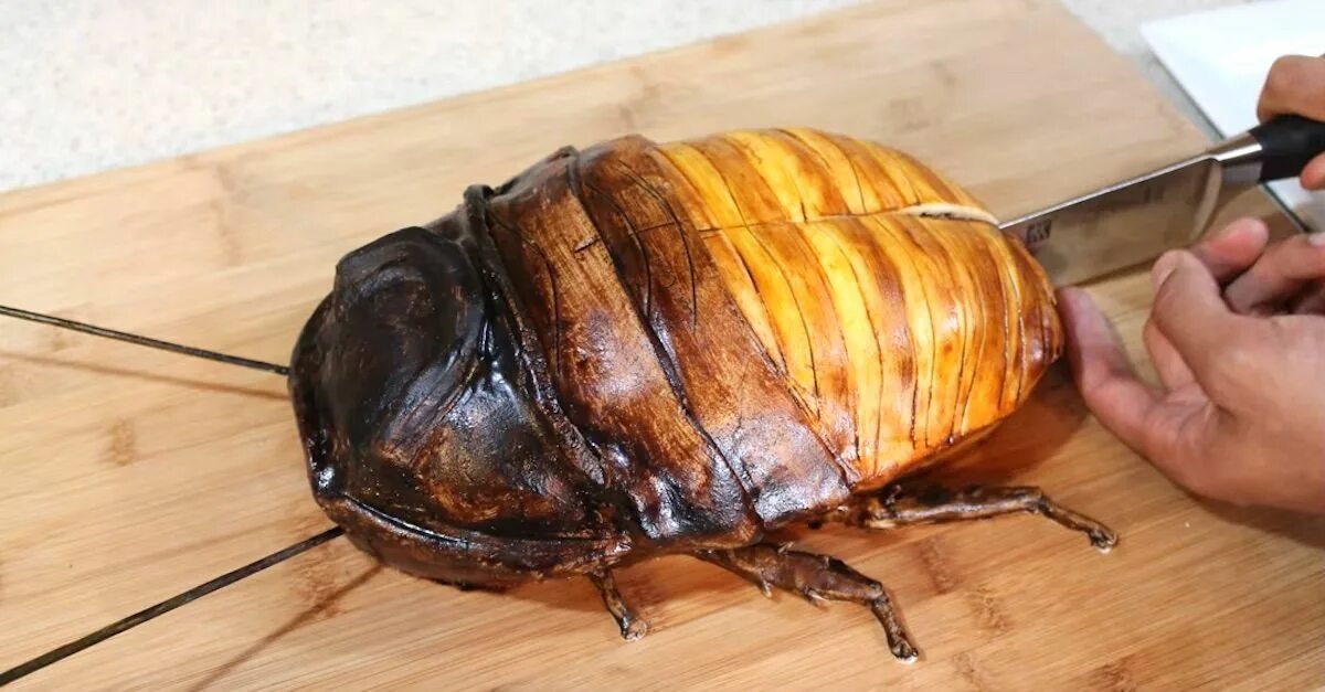 Вкусно жук. Вкусно жук