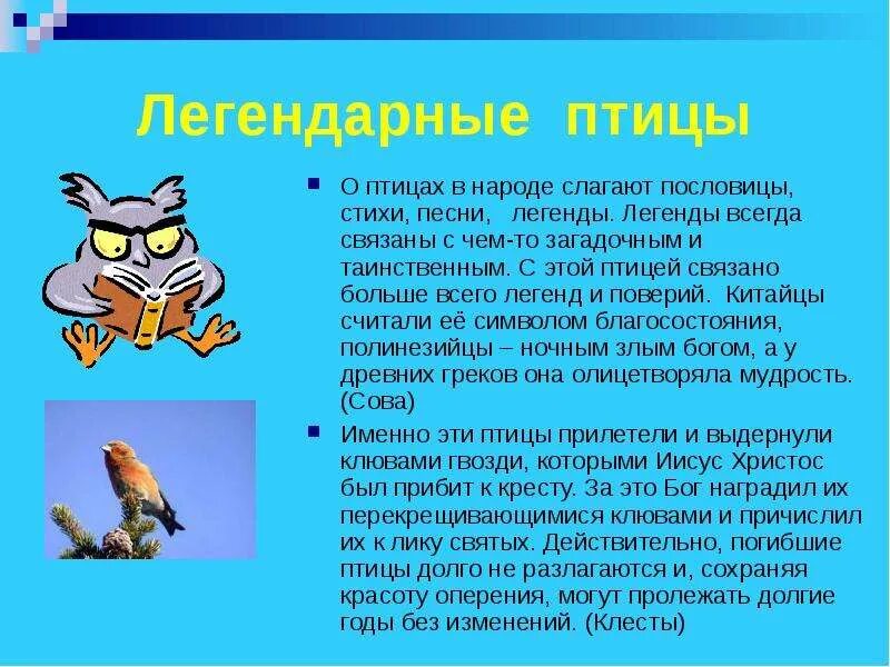 Всегда легендарные. Легенда о птице. Поверья о птицах. Легенды о птицах для школьников короткие. Птицы народные презентация.