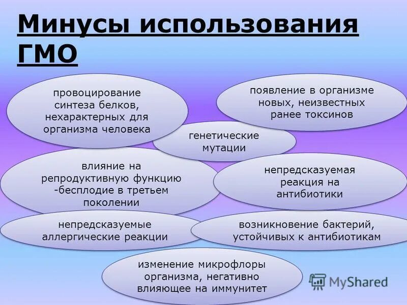 Достоинства и недостатки модифицированных продуктов. Достоинства и недостатки модифицированных продуктов