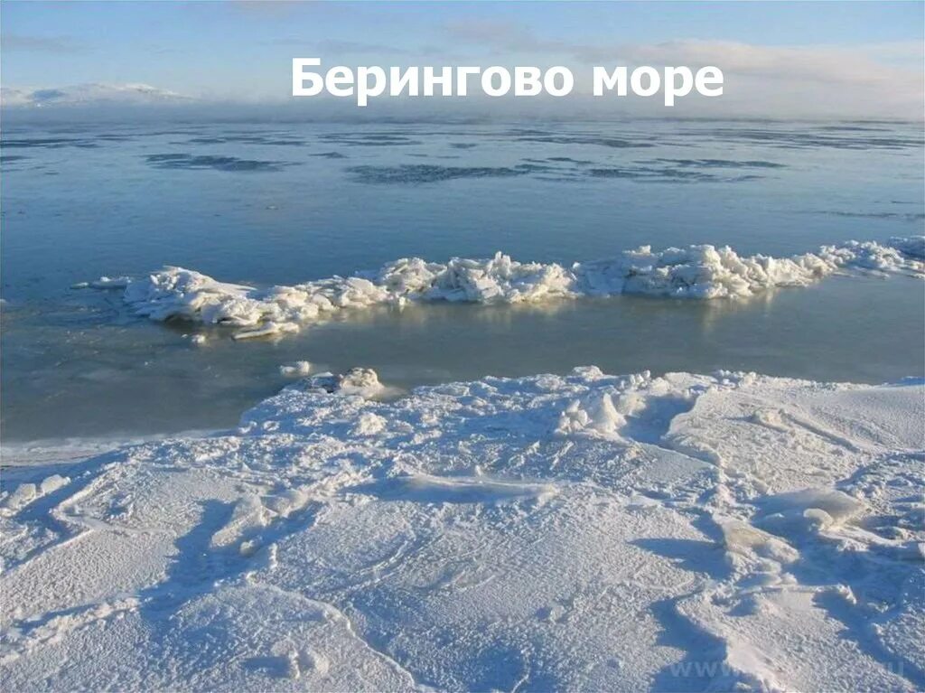 Берингово море. Море Лаптевых. Берингово море Россия. Берингово Лаптевых Чукотское. Бассейн океана лаптевых