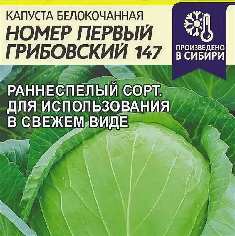 Капуста номер первый грибовский 147. Капуста белокочанная Амагер. Капуста белокочанная Грибовский. Капуста б/к Нозоми f1 (20шт).