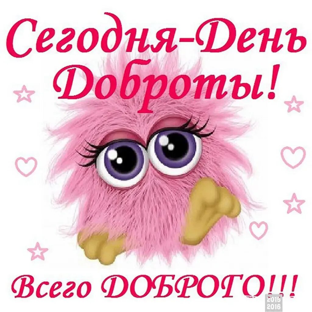 Дата 13 ноября