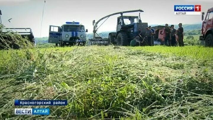 Погода новозыково красногорский район алтайский край. С Новозыково Красногорского района Алтайского края. Красногорский район Алтайский край село Новозыково. Быстрянка Красногорский район Алтайский край. Погода Новозыково Красногорского района Алтайского края.