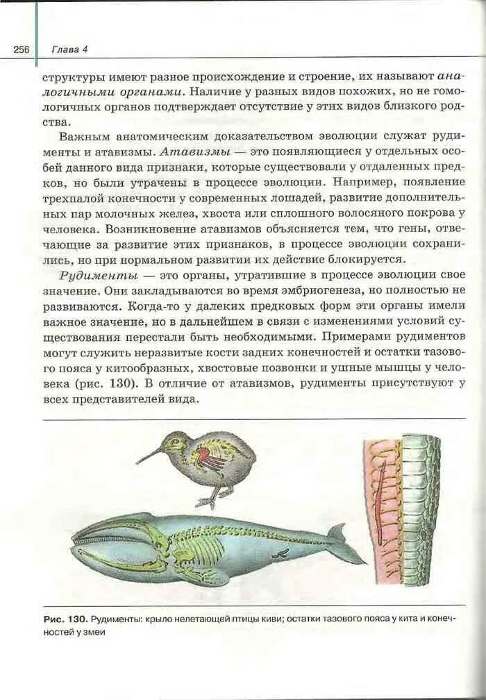 Учебник по биологии 8 класс сивоглазов читать. Книга по биологии 10-11 класс Сивоглазов. Биология 7 класс учебник Сивоглазов Плешаков. Учебник по биологии 7 класс Сивоглазова. Книга по биологии 7 класс Сивоглазов.