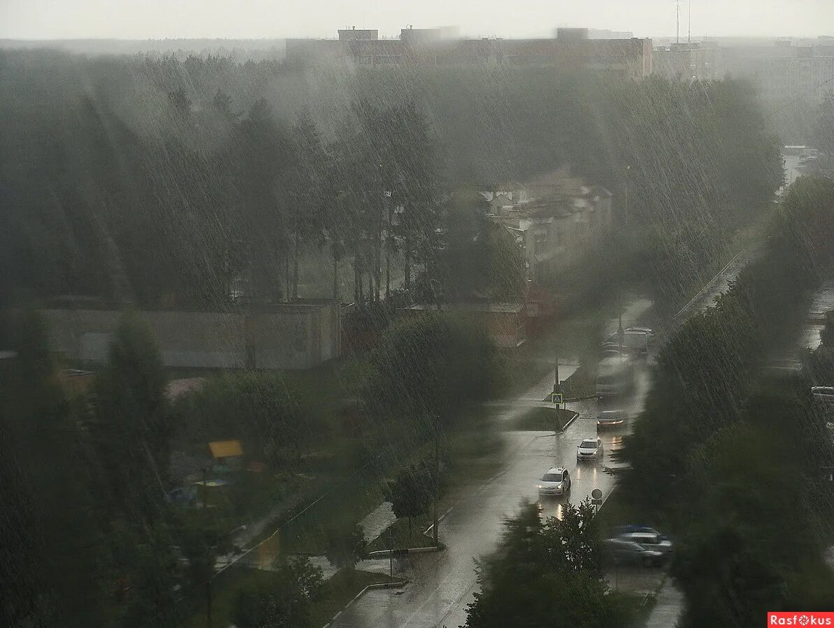 Нашумели вдруг дожди наскандалили. Налетели дожди наскандалили. Налетели вдруг дожди наскандалили слова. Налетели дожди наскандалили текст. Дожди наскандалили.