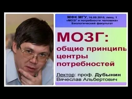 Дубынин мозг и потребности
