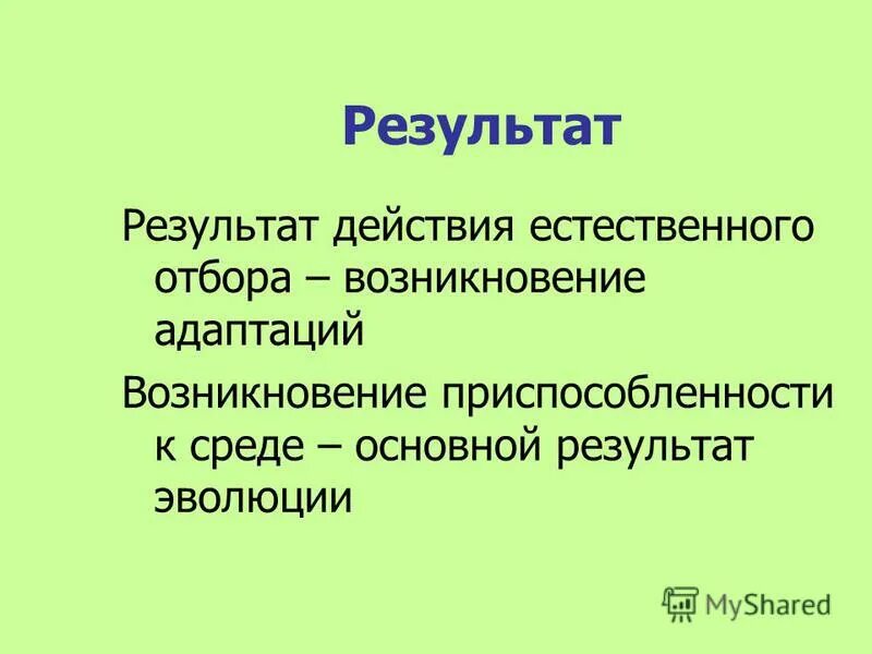 Адаптация возникает в результате