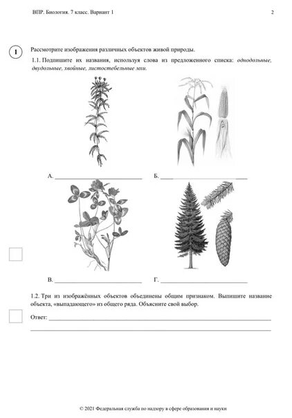 Впр по биологии 5 класс 2023 распечатать. ВПР по биологии. Ответы на ВПР. ВПР по биологии 5. ВПР по биологии 7.