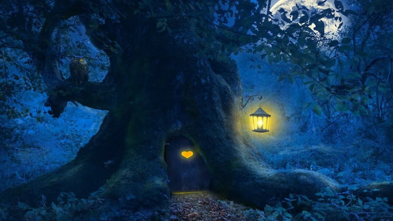 Magic night. Фон ночь. Сказочный домик на дереве ночью. Magical night backgreous. Magical night.