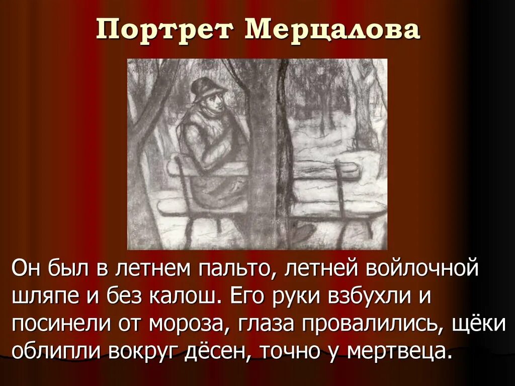 Семья мерцалова жила. Куприн чудесный доктор Мерцалов. Куприн чудесный доктор портреты героев. Чудесный доктор портрет Мерцалова. Чудесный доктор презентация.