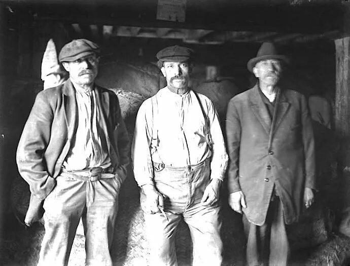 Working class families