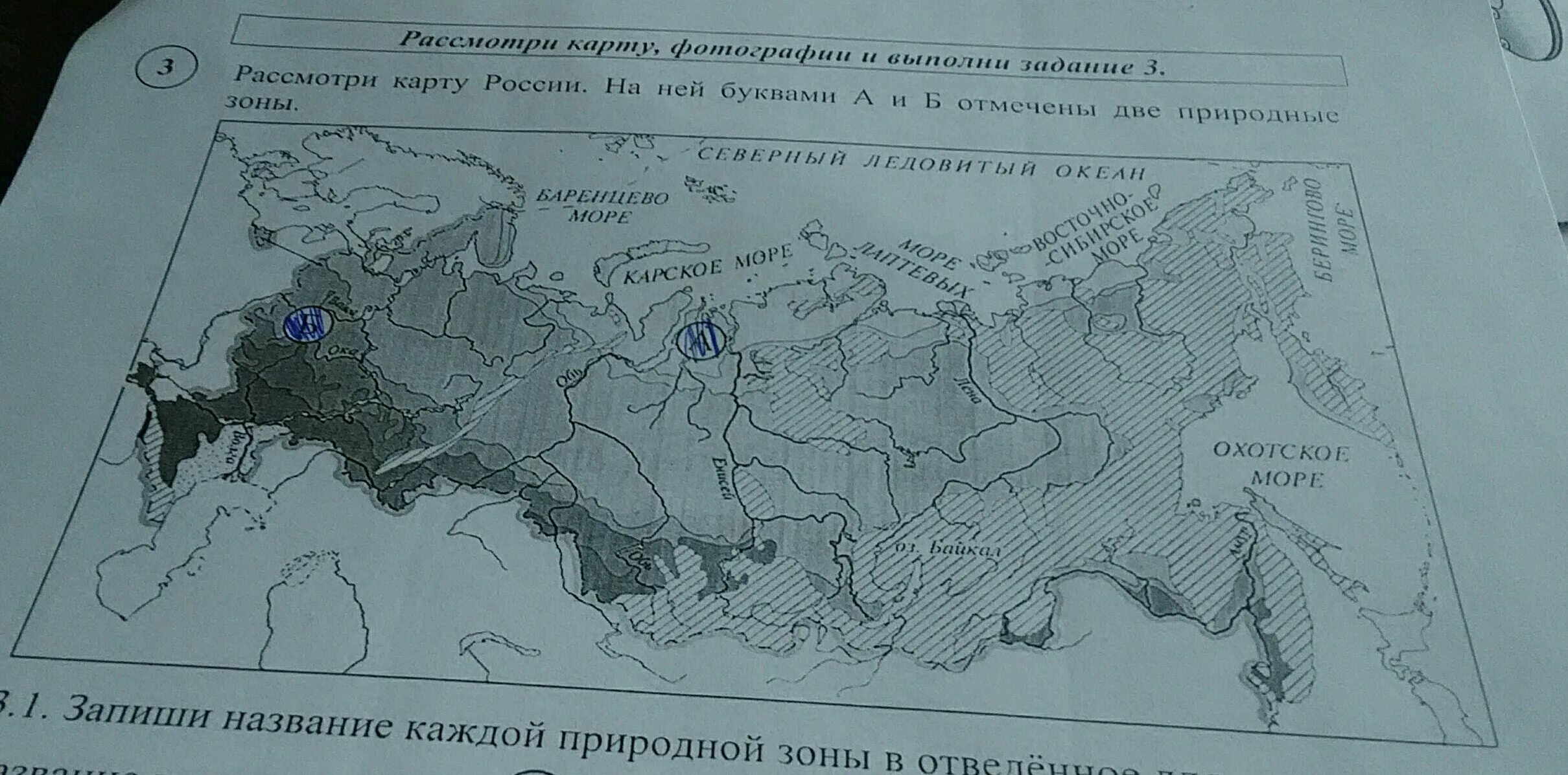 Природные зоны россии впр ответы. Название природной зоны а и б. Природные зоны России а б название. Название природной зоны а и б 4 класс. Природные зоны России а и б.