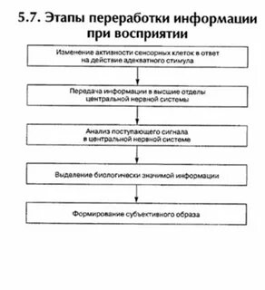 Мышление процесс переработки информации
