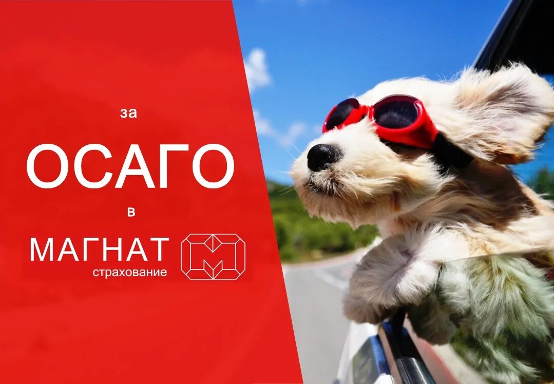 Избербаш торговый центр. Страховая магнат. Маяковского 165 е избербаш. 88. Тц магнат высокая гора.