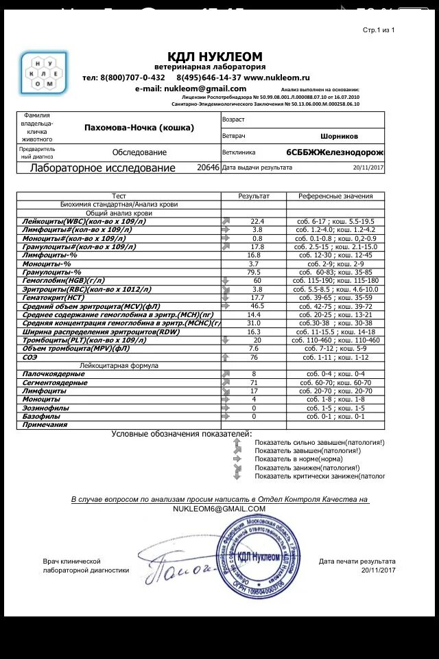 Кдл биохимия. Расшифровка анализов. Бланк анализов крови кдл. Биохимическое исследование крови кдл. Биохимическое исследование крови кдл.