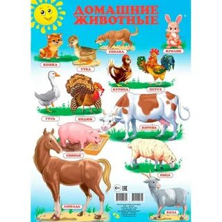 Русский язык домашние животные