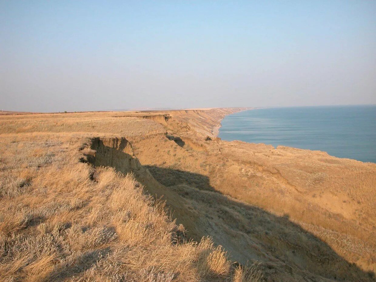 Веселовка Таманский полуостров. Посёлок Веселовка Краснодарский край. Веселовка 2023. Гора лысая Веселовка. Тамань веселовка