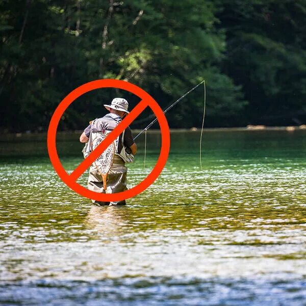 Рыбалка запрещена. Запрет на рыбалку. Рыбалка под запретом. Ловля рыбы запрещена.