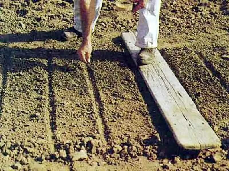 Сеем морковь правильно весной без прореживания. Посев семян моркови. бороздки на грядке. посев семян моркови в гряды. посадка моркови весной в открытый.