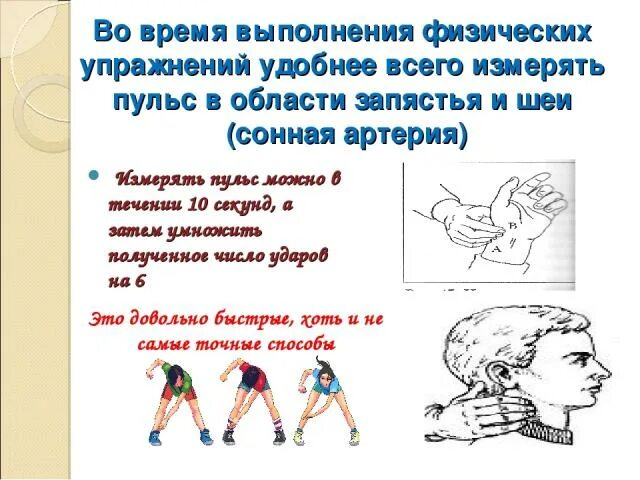 Кто использовал пульс при измерениях. Способы измерения пульса. как правильно измерить чсс. как правильно измерить частоту сердечных сокращений. методы измерения чсс.