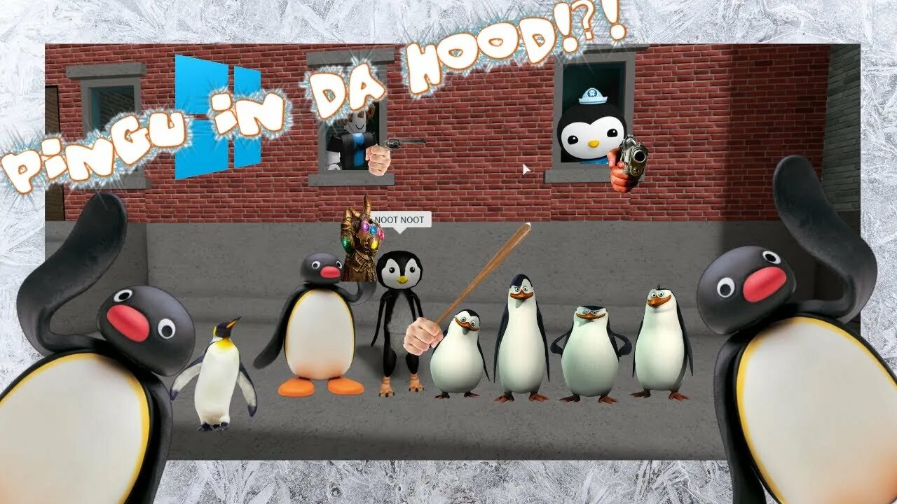 Видео пингу. Pingu Angry. Pingu на заставку. Pingu Roblox. Пингвин из РОБЛОКС.