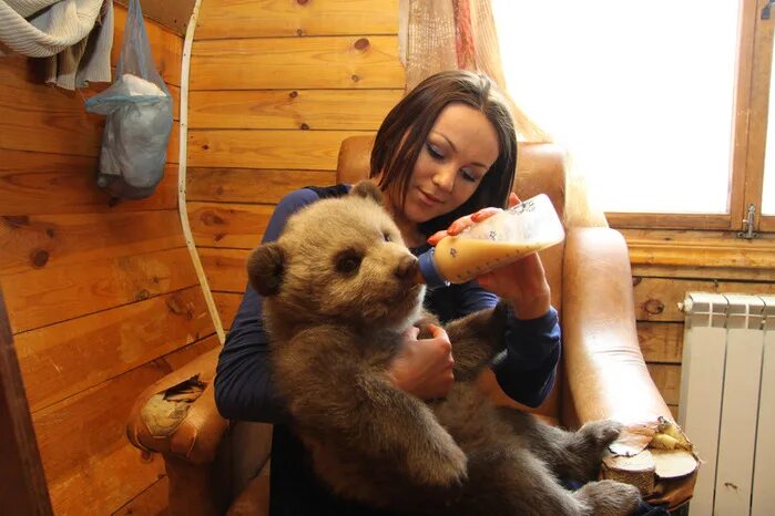 медведь женщина дом